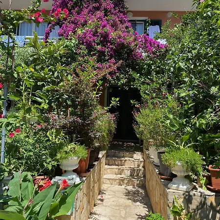 Dušanka Apartmán