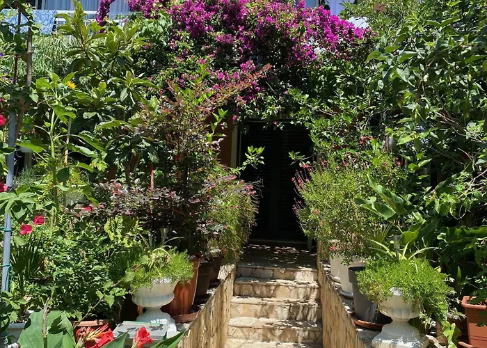 Dusanka Διαμέρισμα